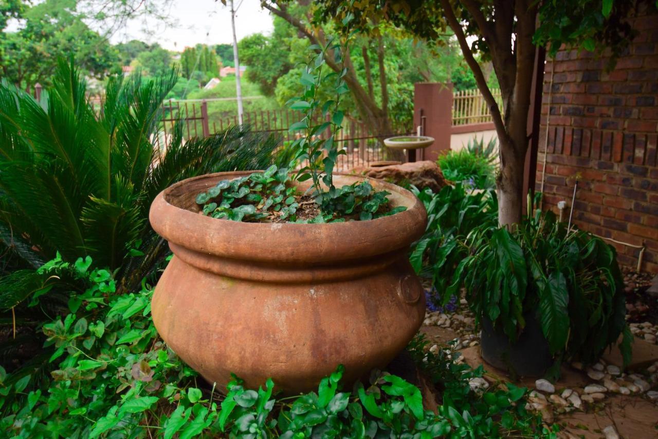 Upmarket With Pool & Lush Garden Villa Pretoria-Noord